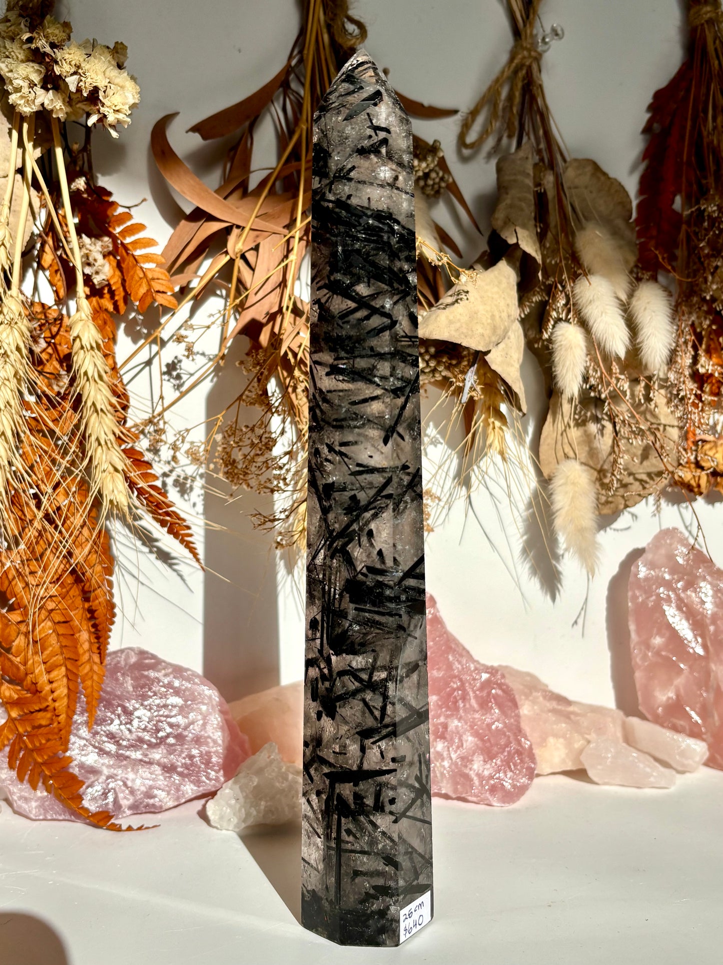 Black Tourmaline in Quartz Tower