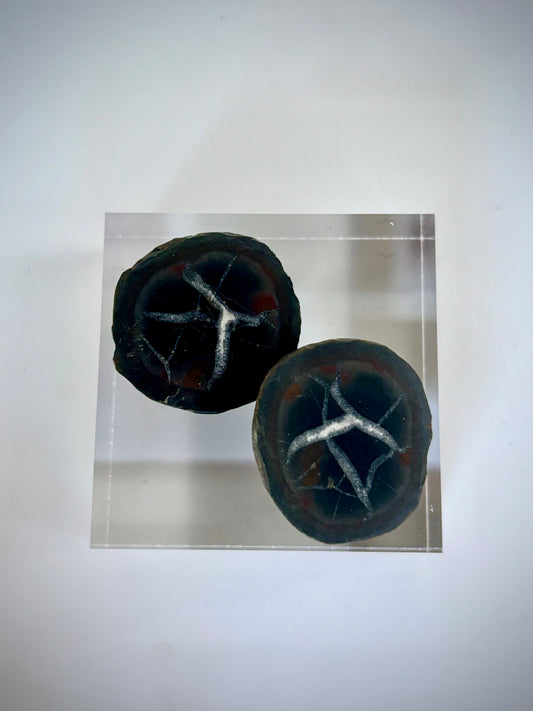 Septarian (Thunder Egg) Cut Pair