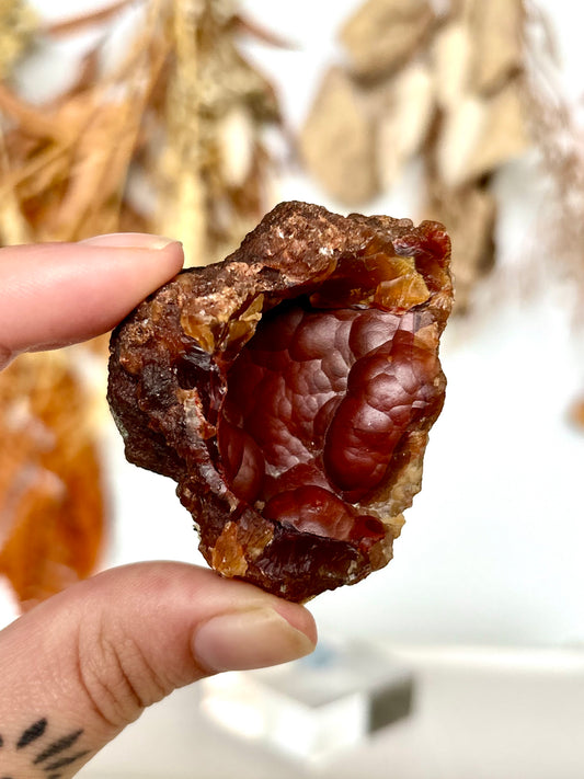 Red Fox Agate Botryoidal Geode (Rare) (08)