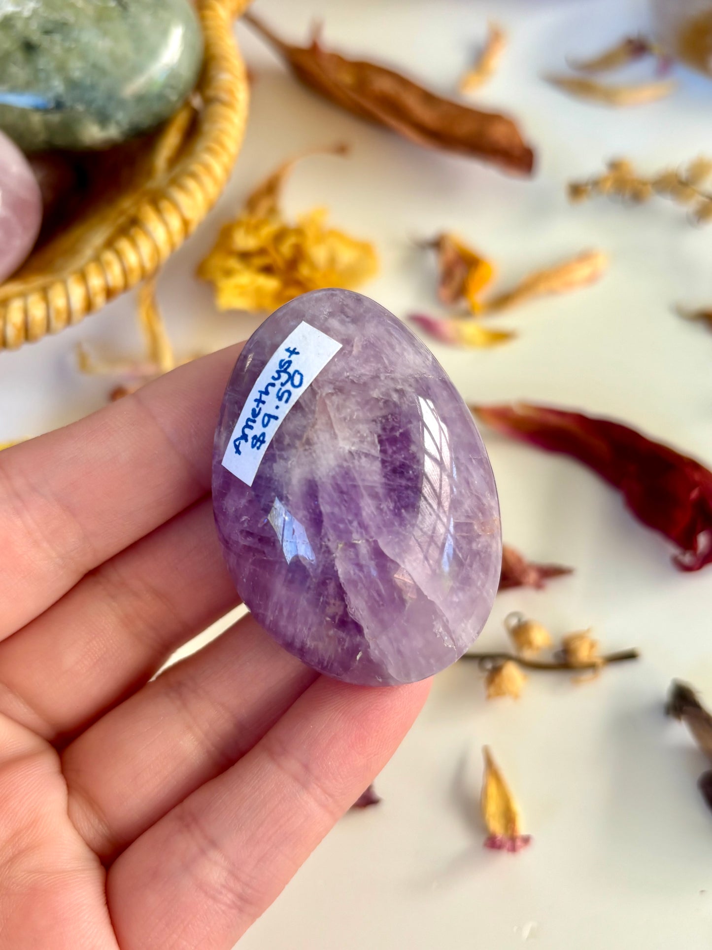 Amethyst Palm