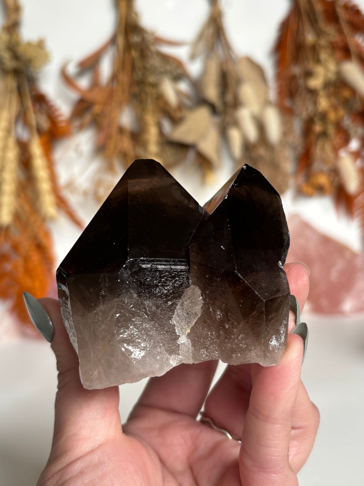Smokey Quartz Cluster Natural Point(s) - with Faden feature.