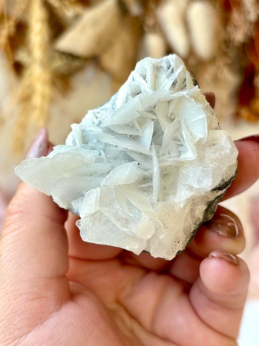 Angel Wing Calcite AA+