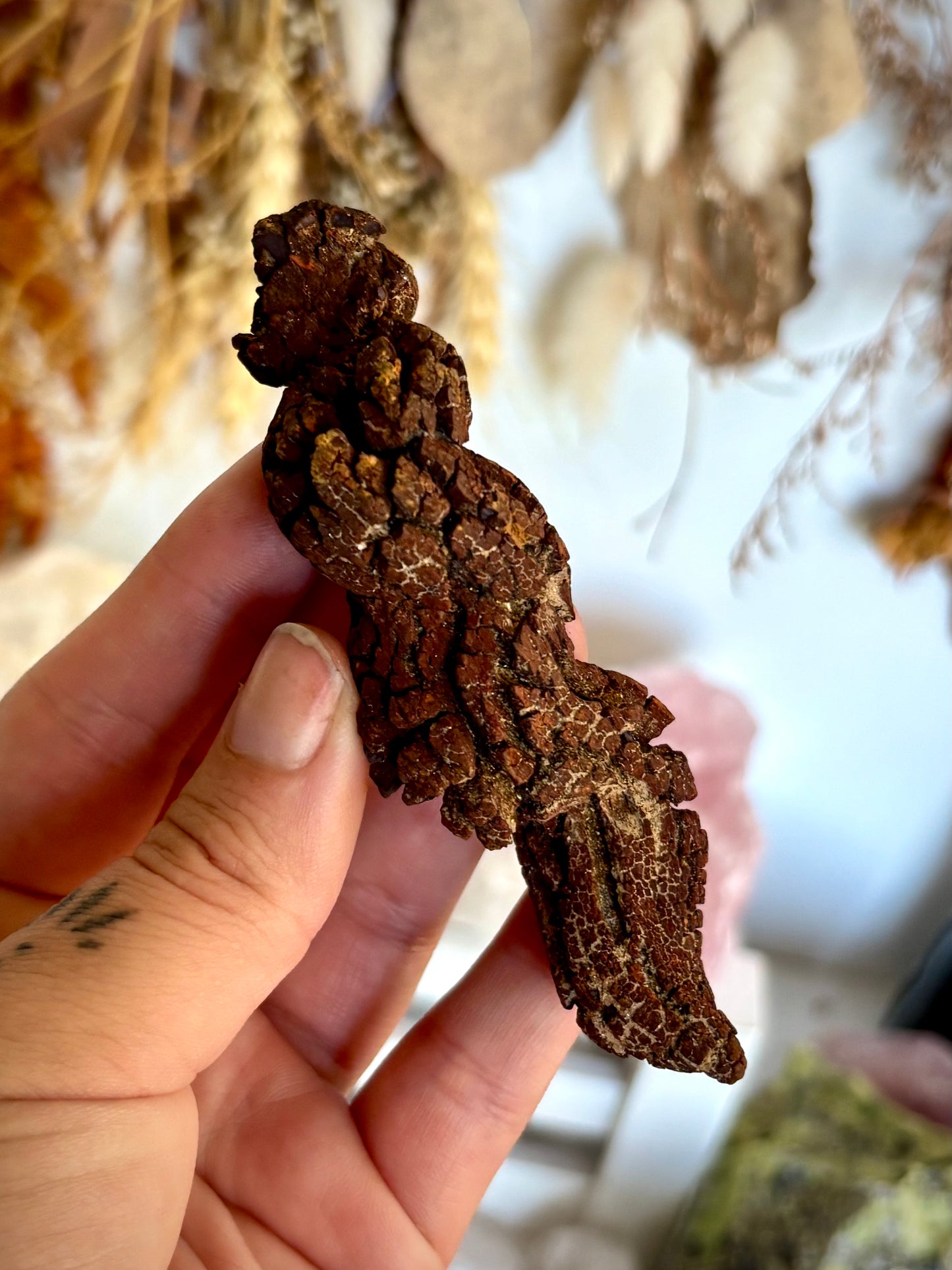 Fossilised Dinosaur Crap - Coprolite
