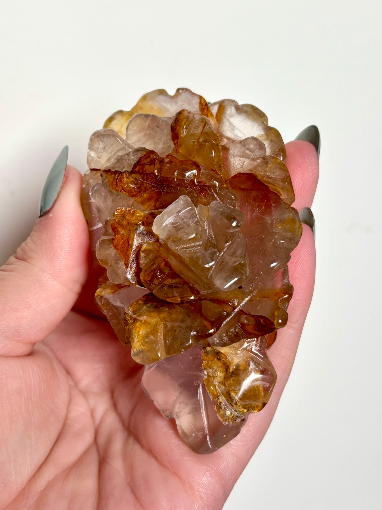 Golden Healer Rose