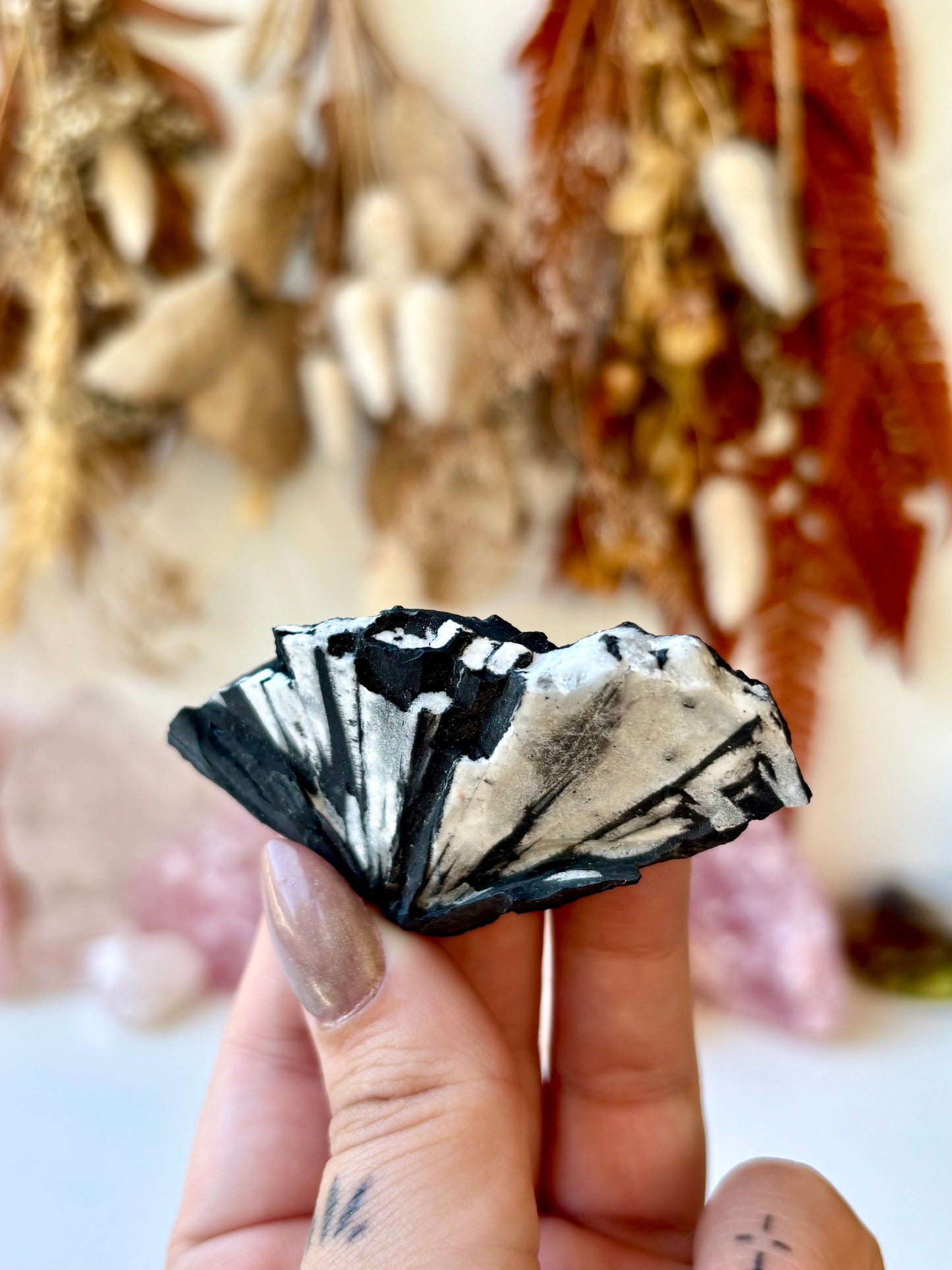 Chrysanthemum Stone Specimen