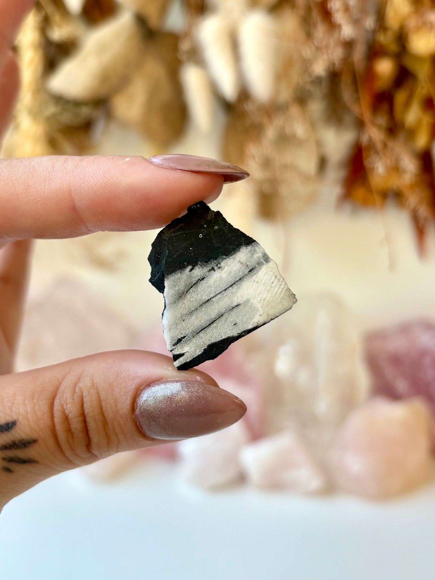 Chrysanthemum Stone Specimen