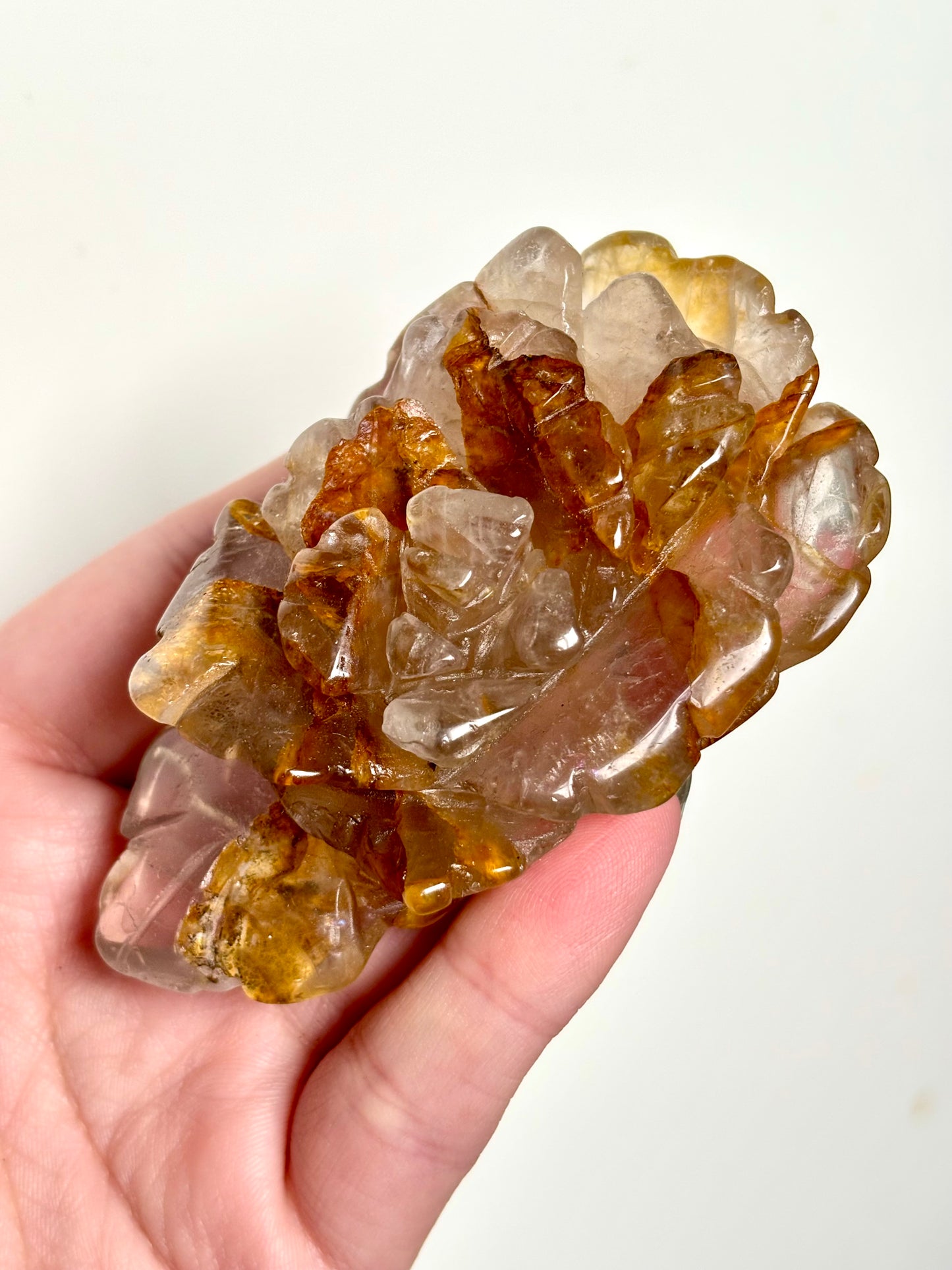 Golden Healer Rose
