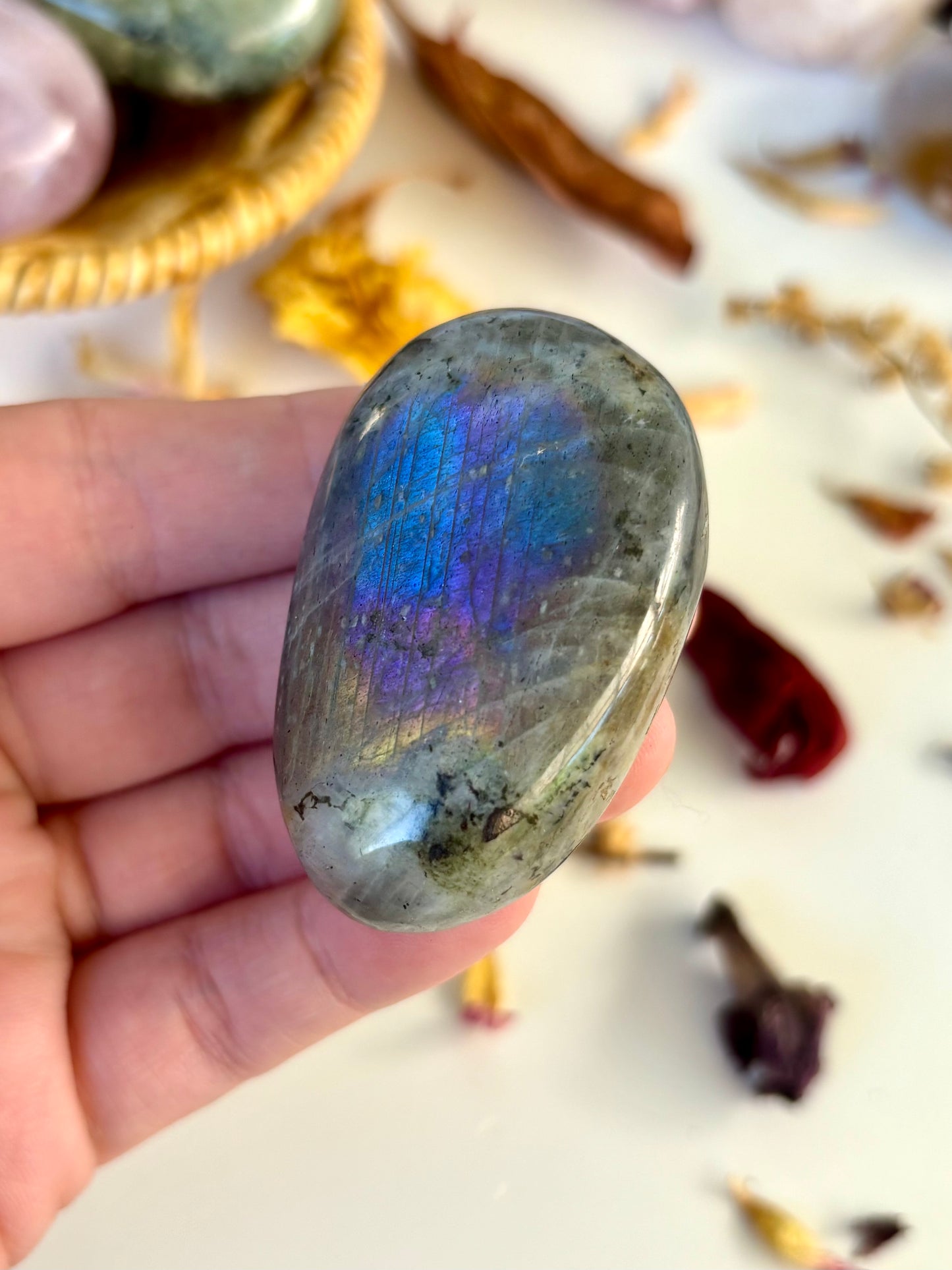 Labradorite Palm