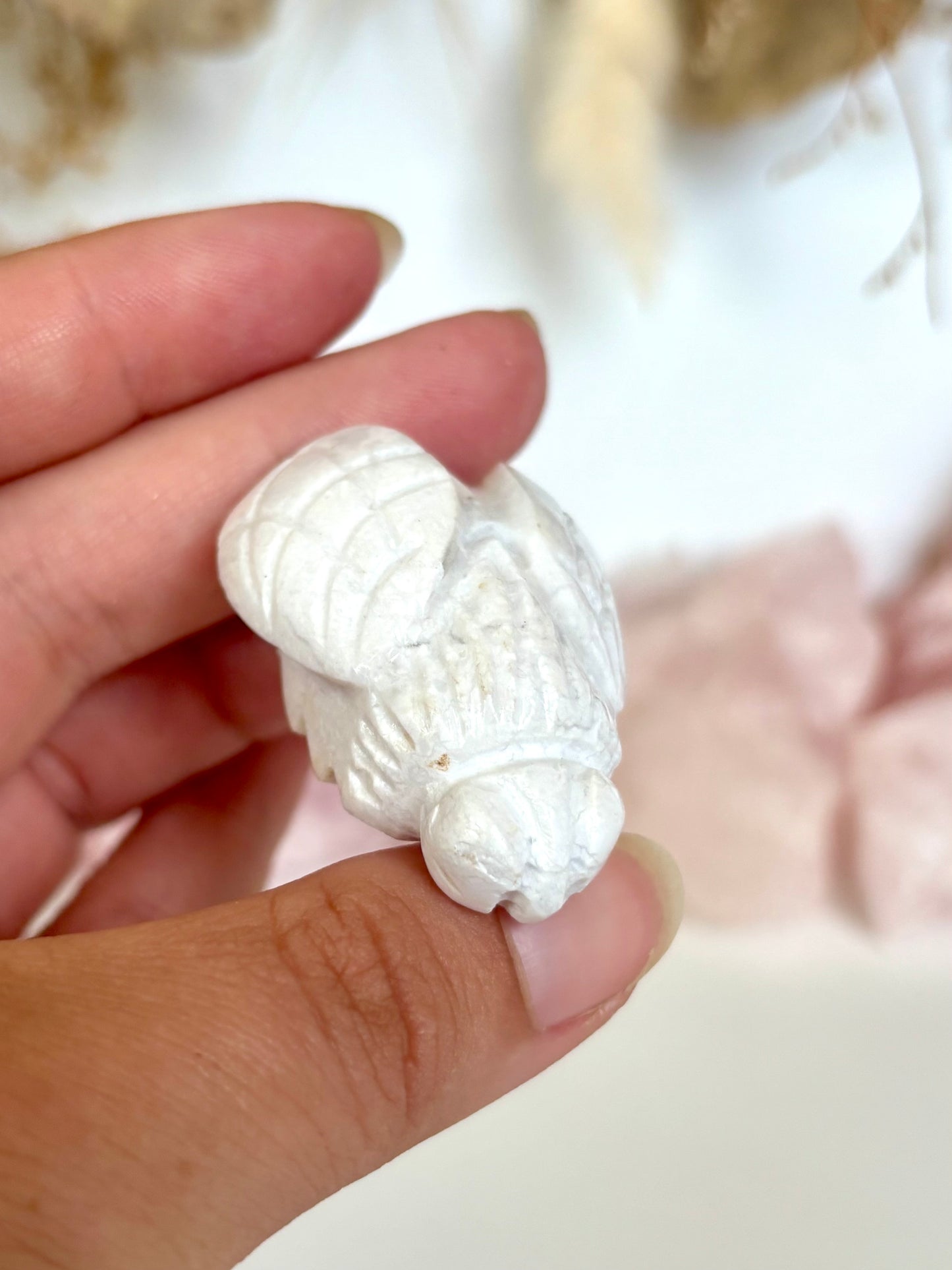 White Plume Agate Bee (5)