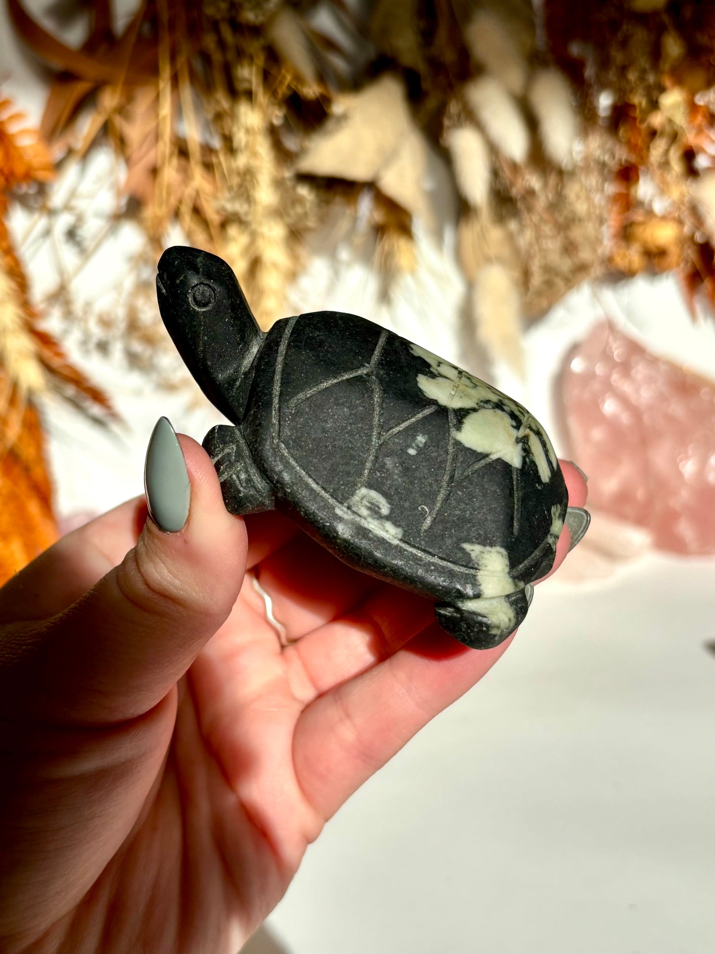 Chrysanthemum Stone Carved Turtle