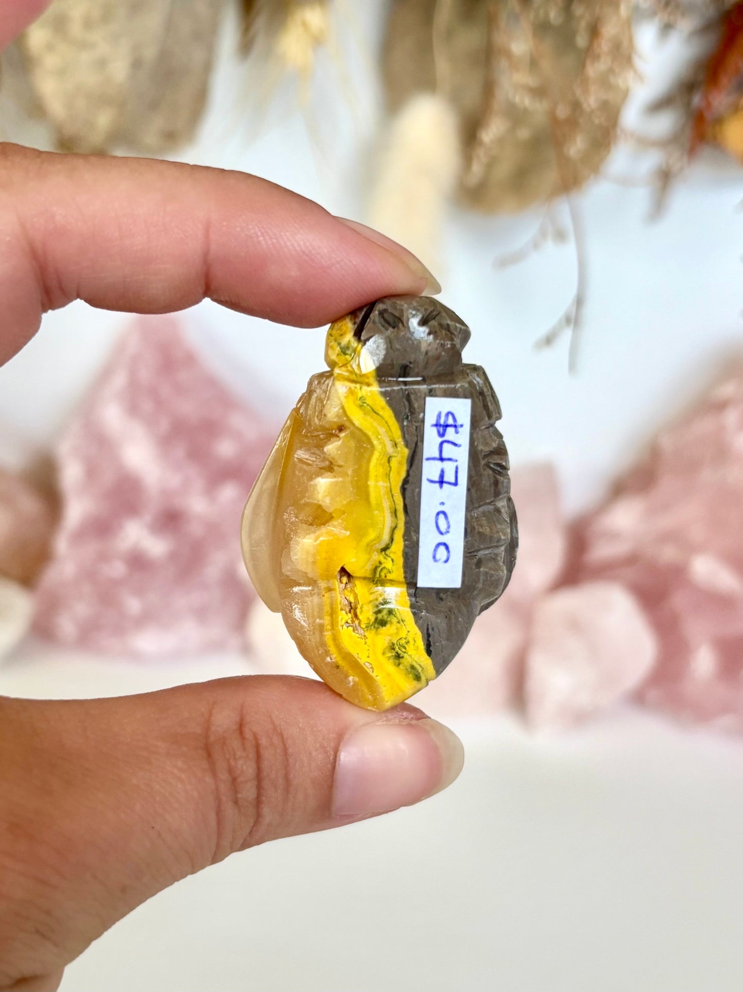 Bumblebee Jasper Bee (5)