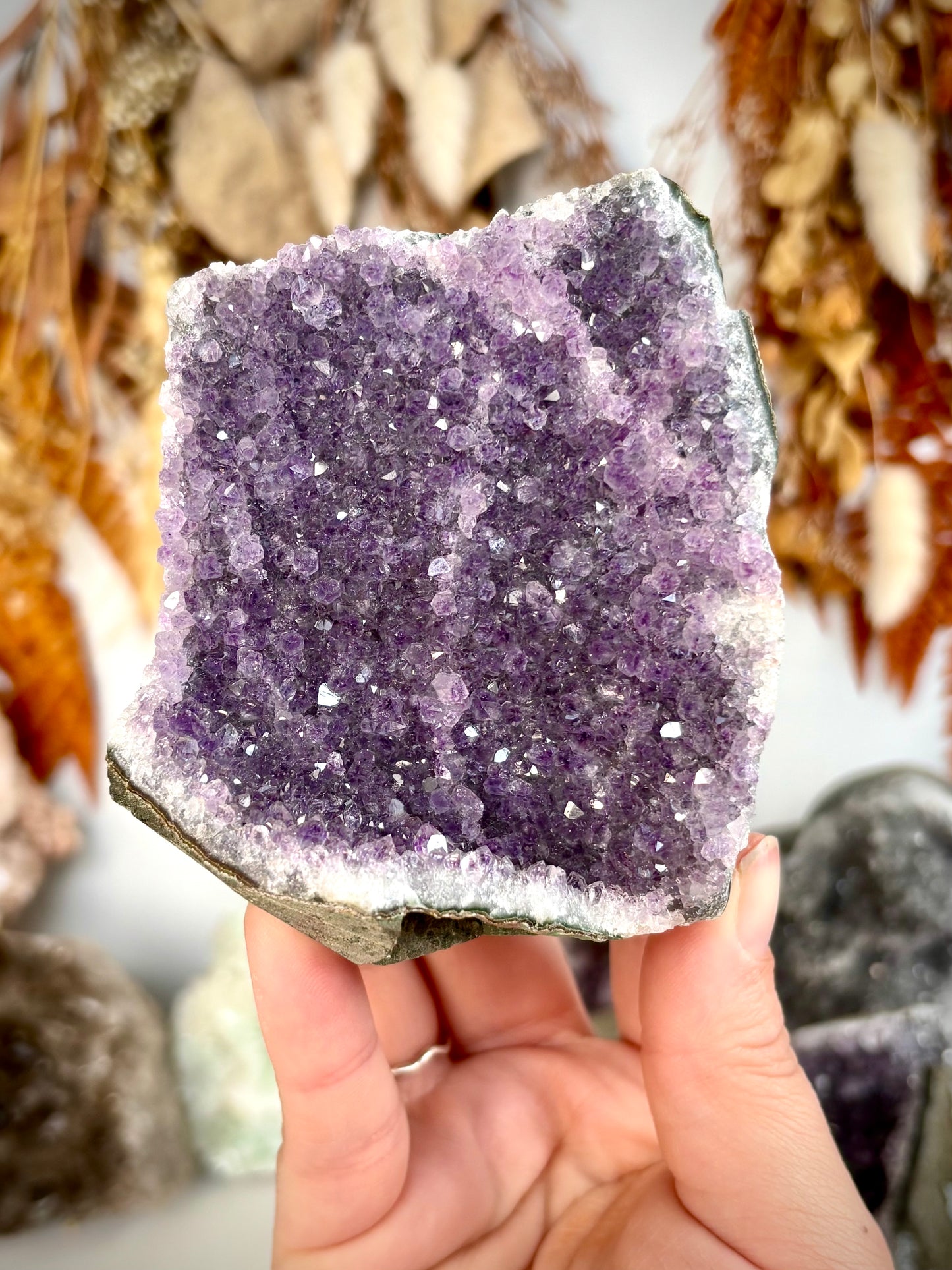 Amethyst Cut Base - Brazil
