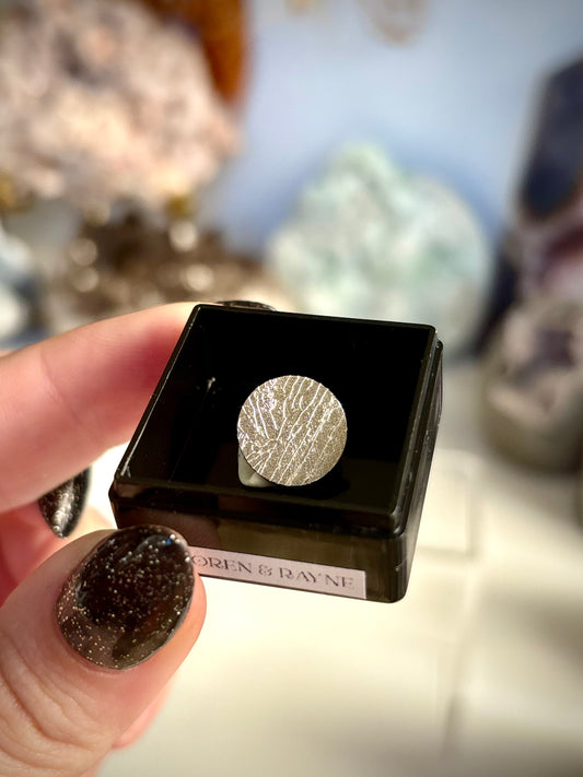 Aletai Meteorite Specimen