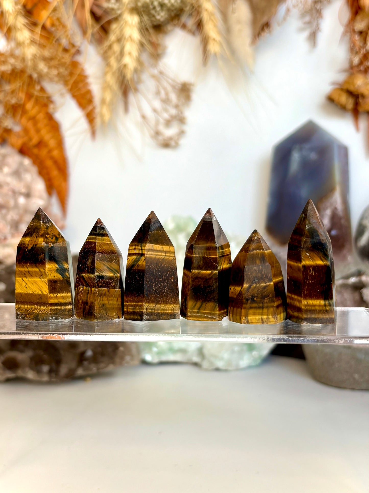 Tiger Eye Mini Point