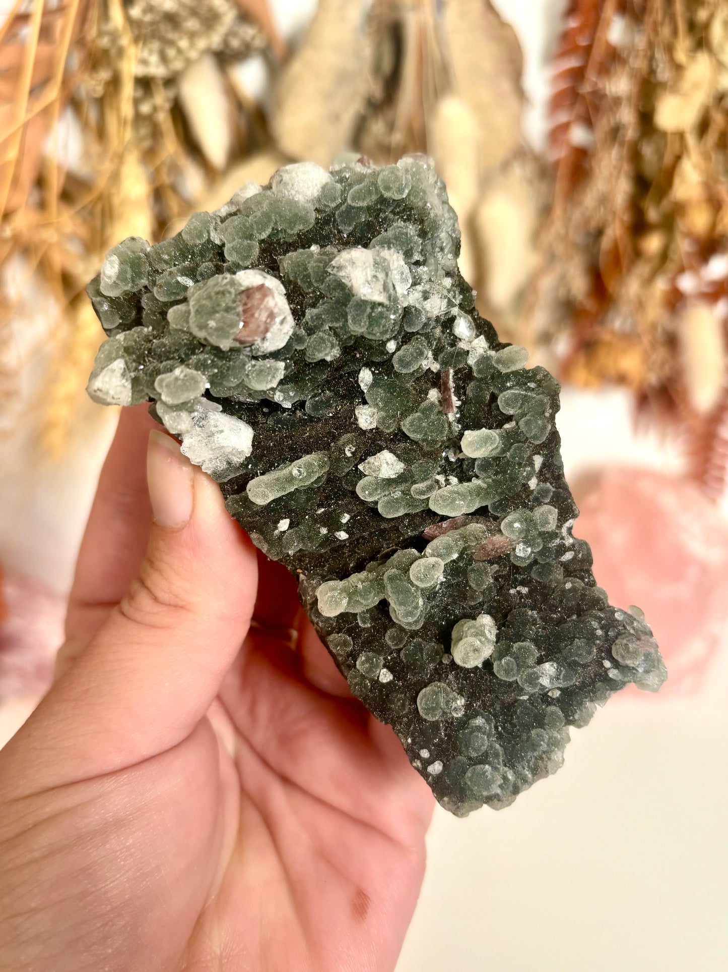Black Chalcedony with Apophyllite