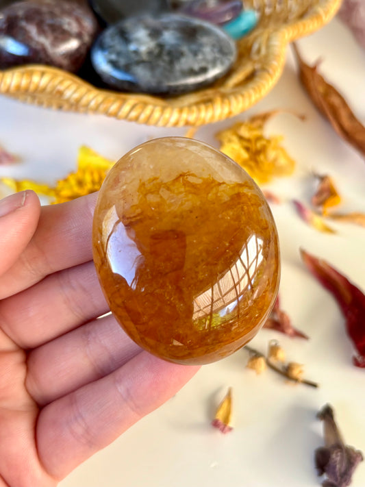 Golden Healer Palm
