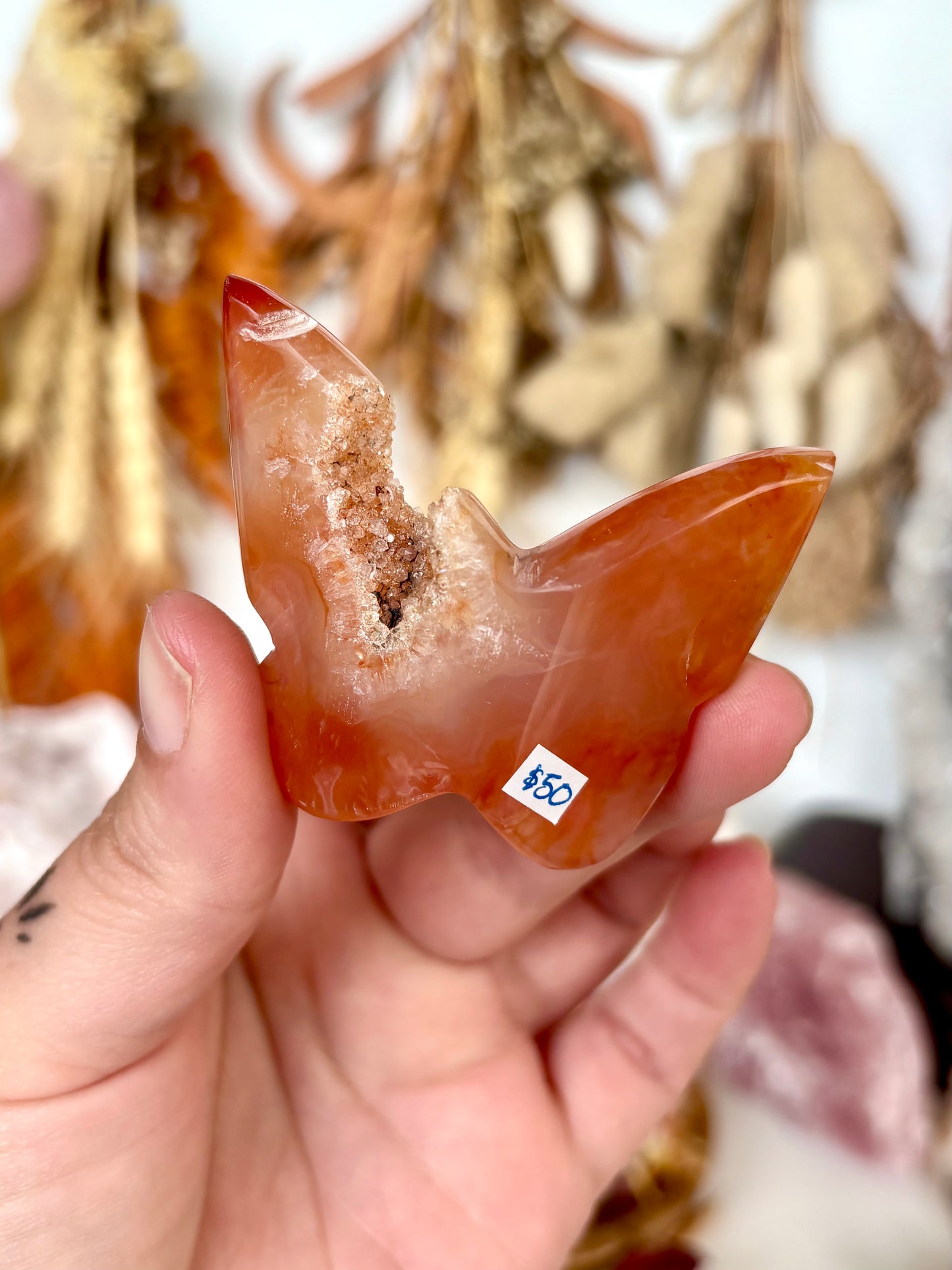 Carnelian Butterfly