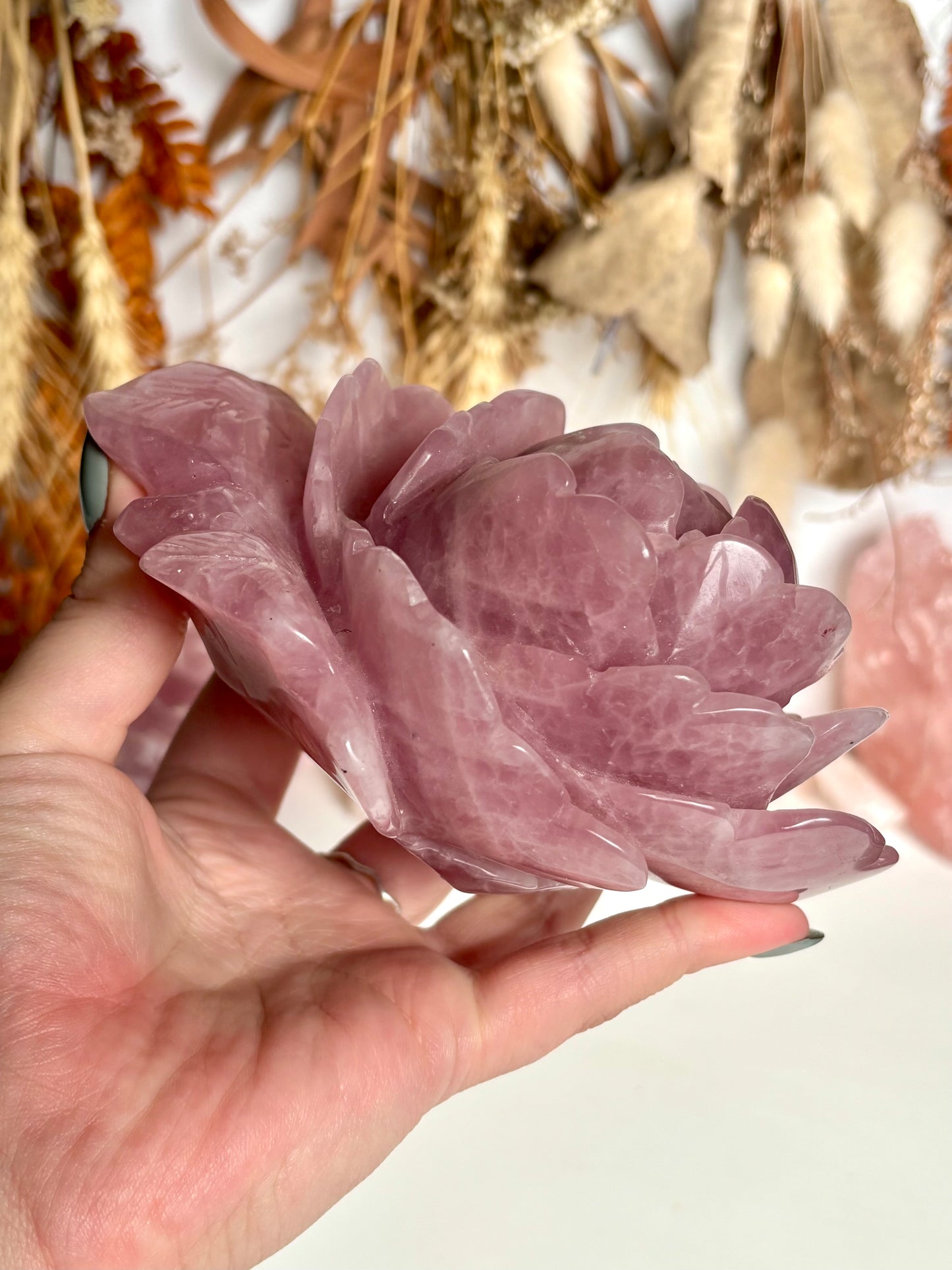 Large Rose Quartz Rose
