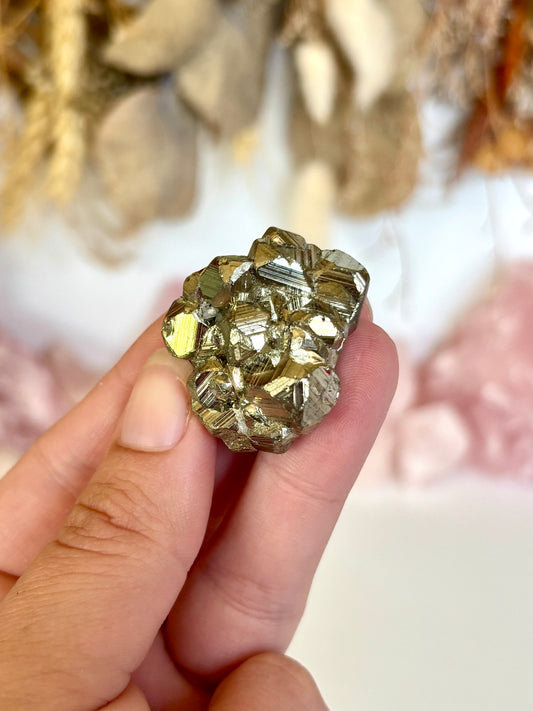 Mini Cocoda Pyrite (2)