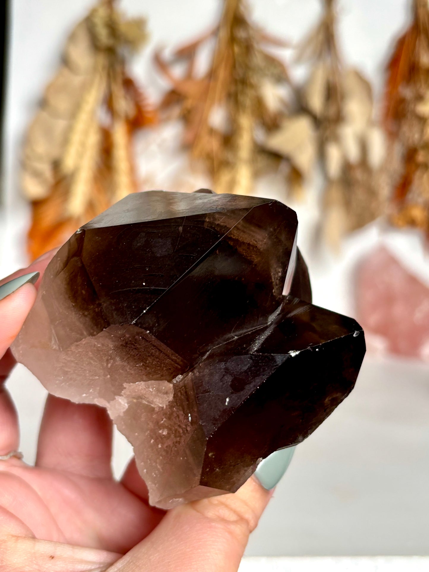 Smokey Quartz Cluster Natural Point(s) - with Faden feature.