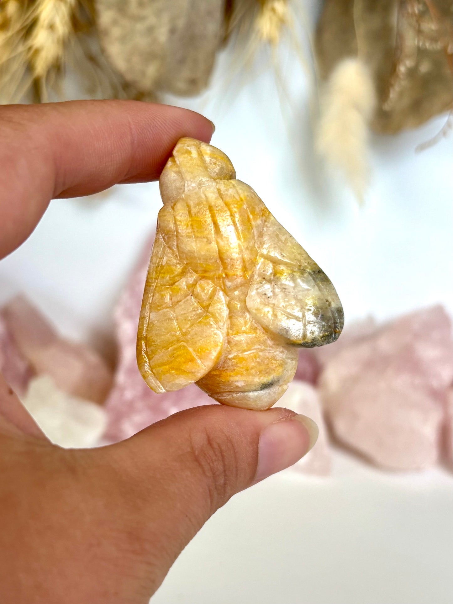 Bumblebee Jasper Bee (3)