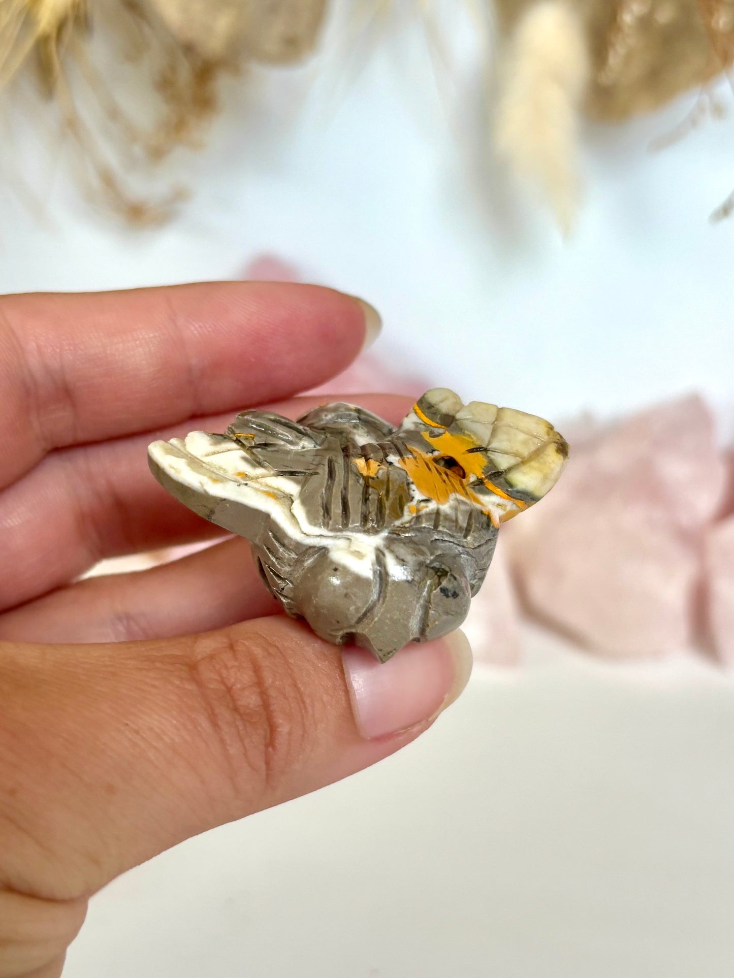 Bumblebee Jasper Bee (4)