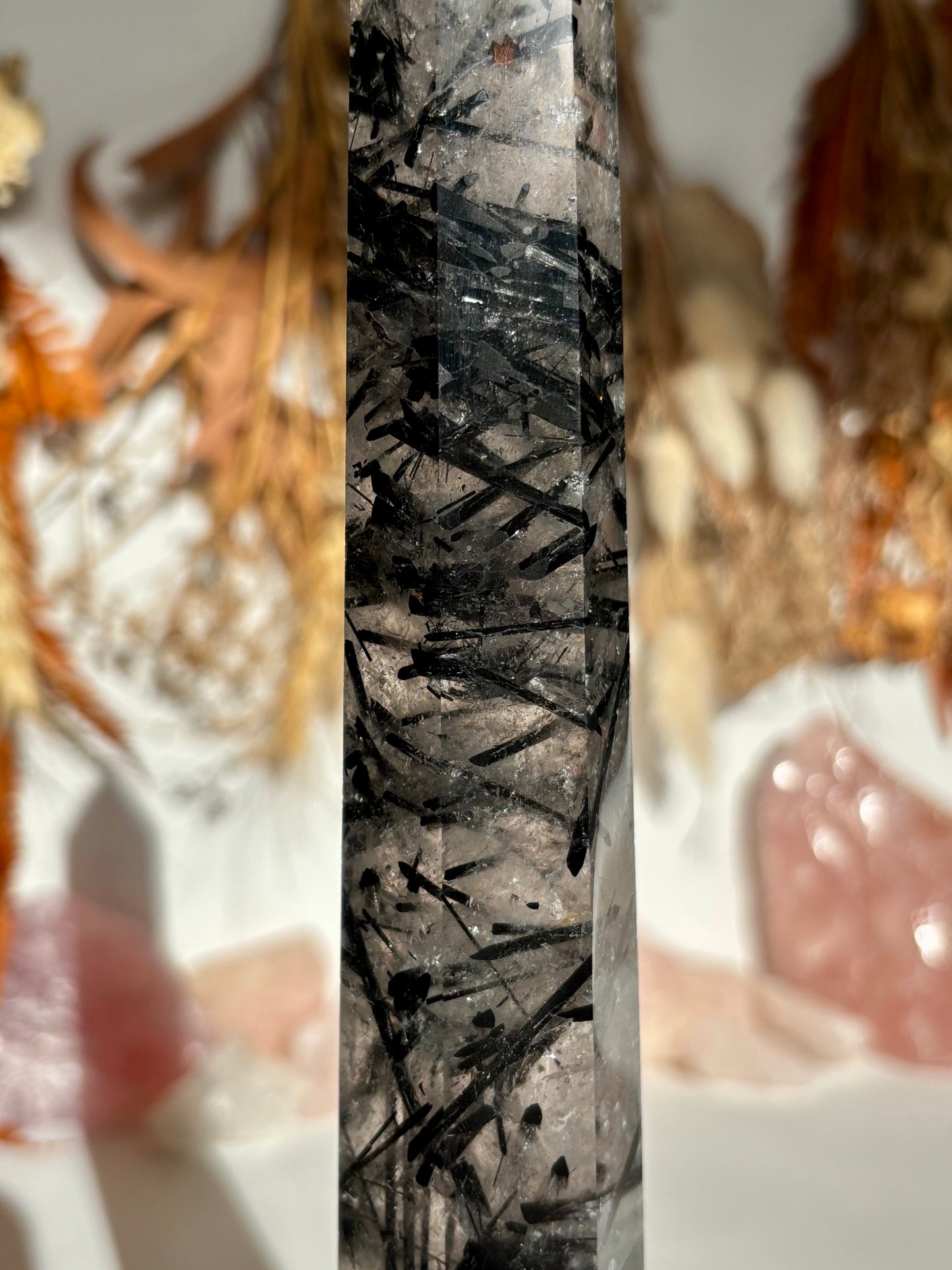 Black Tourmaline in Quartz Tower