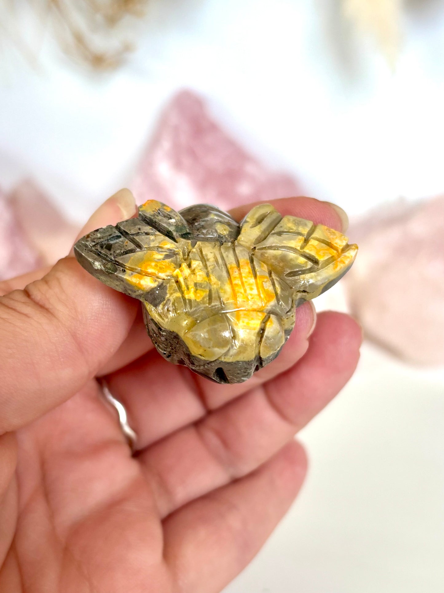 Bumblebee Jasper Bee (1)