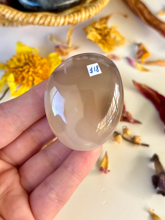 Orca Agate Palm with Druse