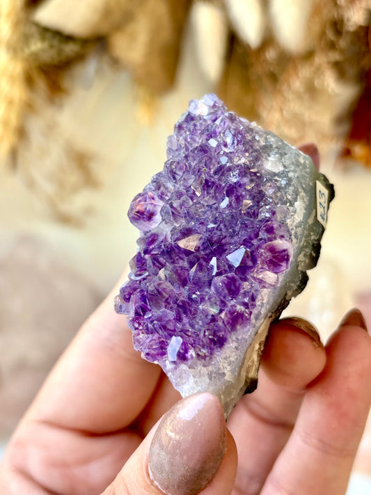 Amethyst Druse AA+ (Brazil)