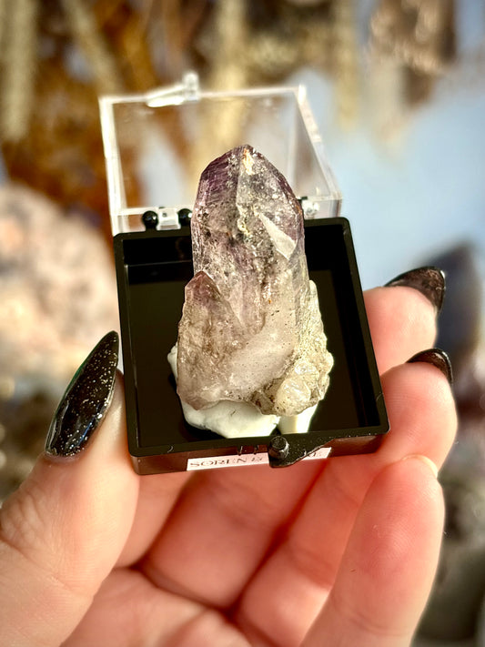 Shangaan Amethyst - Zimbabwe