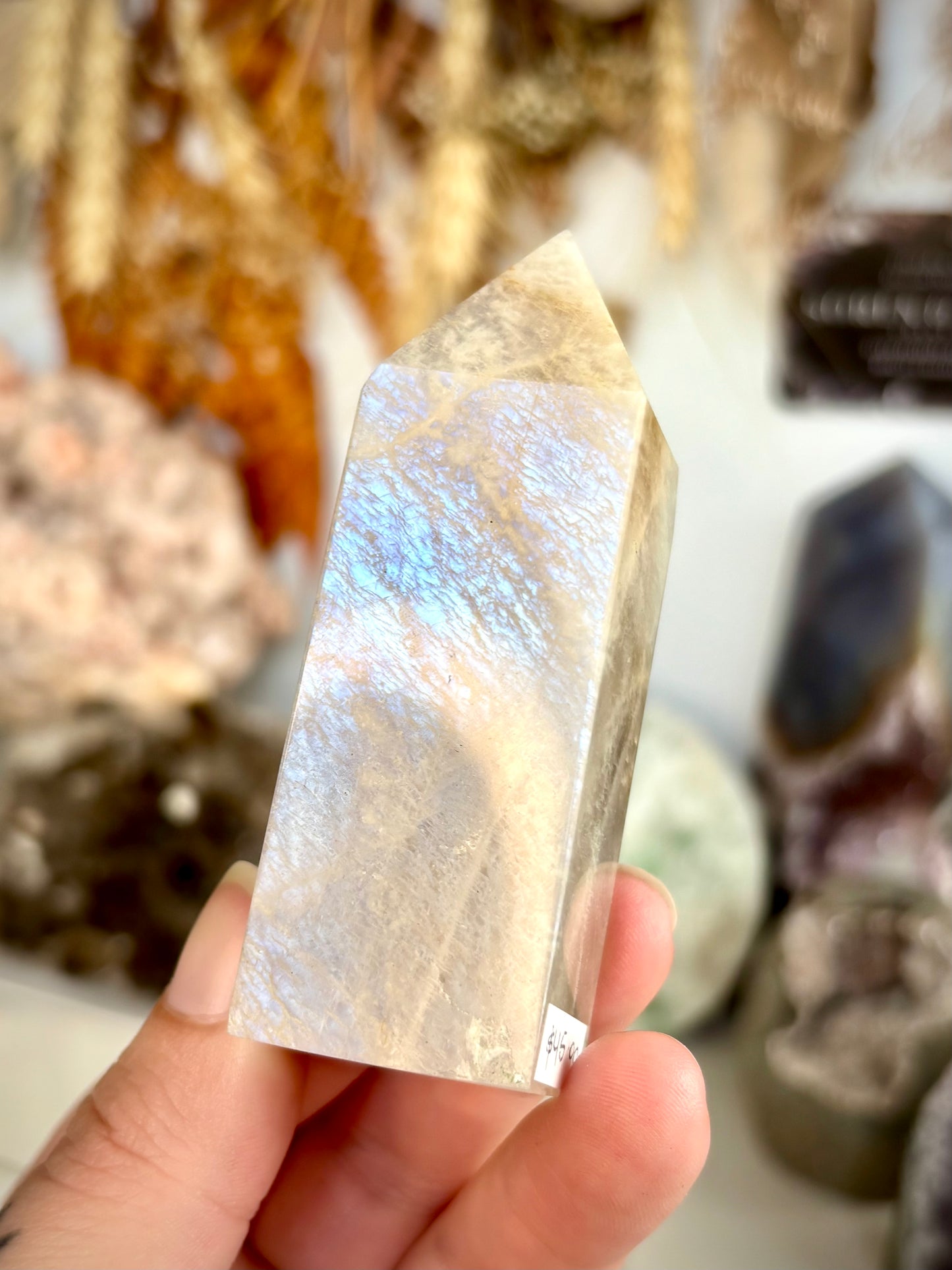 Blue Flash White Moonstone Point
