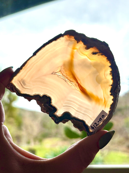 Agate Slice (2)