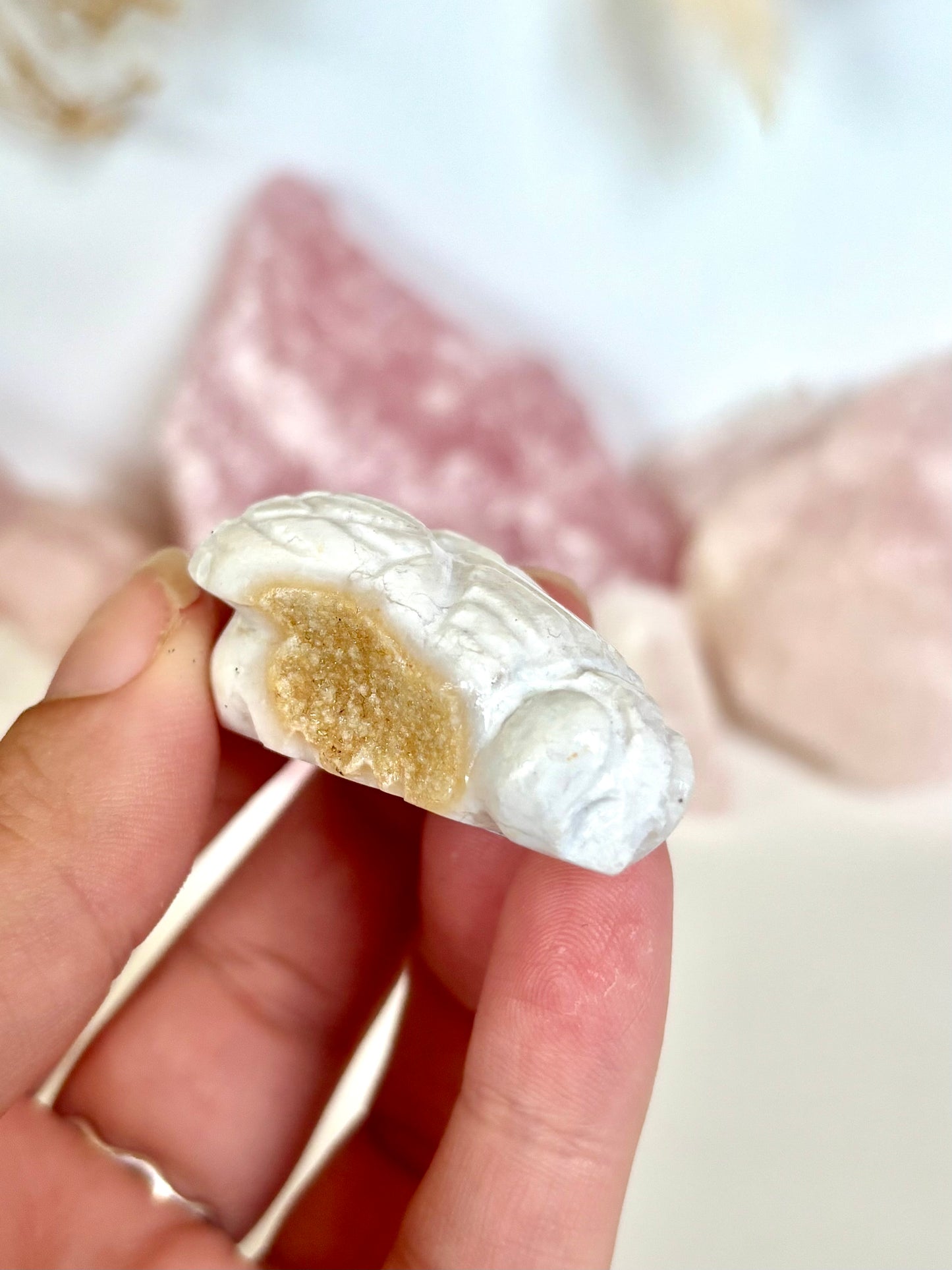 White Plume Agate Bee (2)