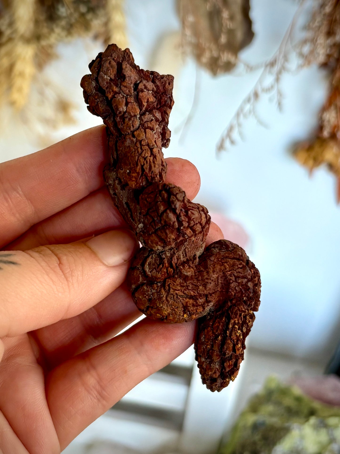 Fossilised Dinosaur Crap - Coprolite