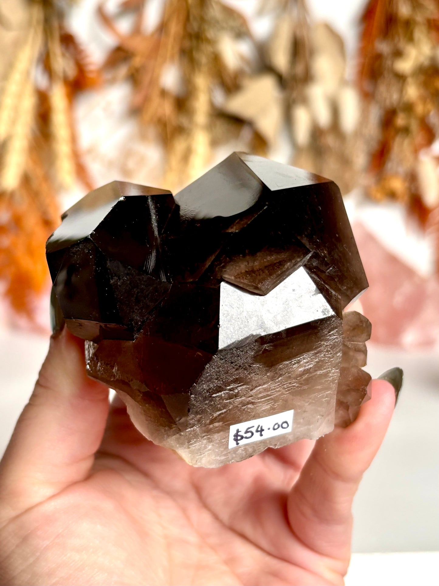 Smokey Quartz Cluster Natural Point(s) - with Faden feature.