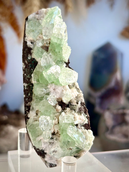 Green Zoned Apophyllite - India