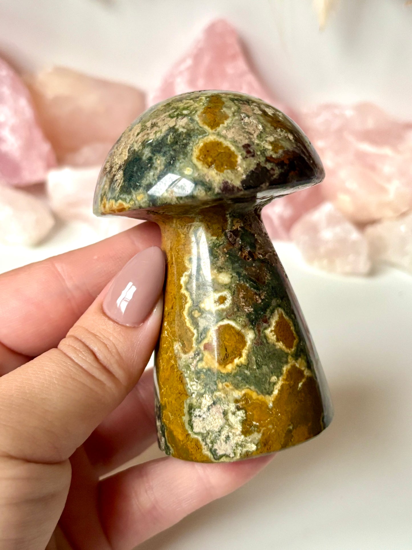 Ocean Jasper Mushroom (1)