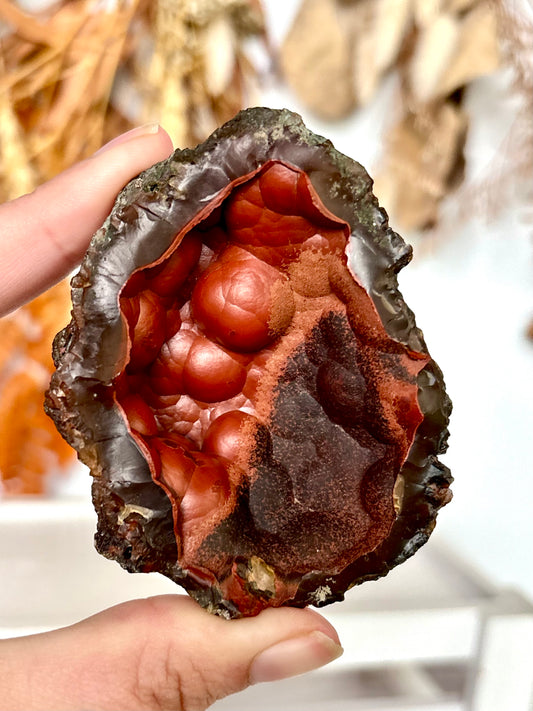 Red Fox Agate Botryoidal Geode (Rare) (02)