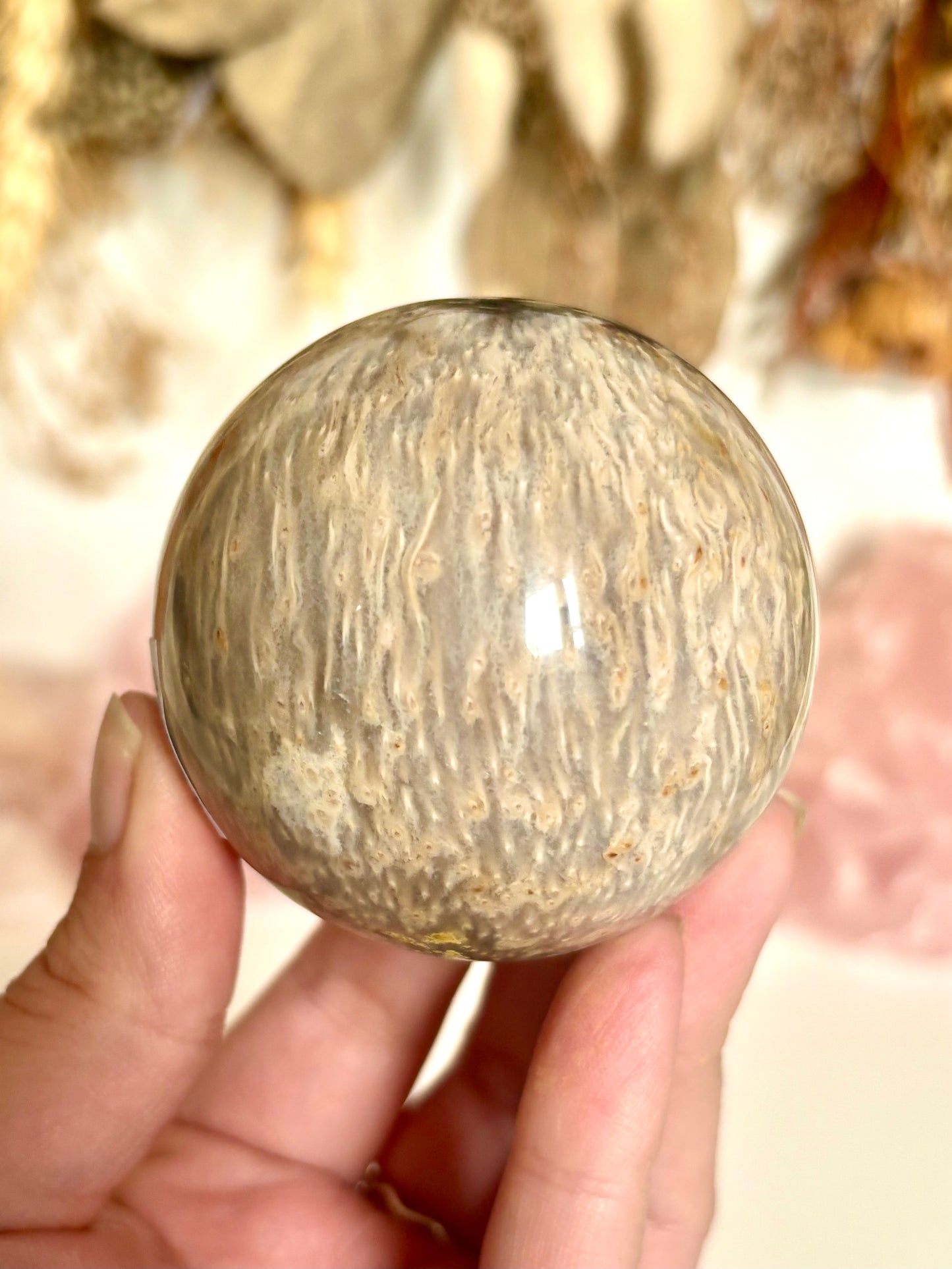 Palm Root Sphere (Indonesia)