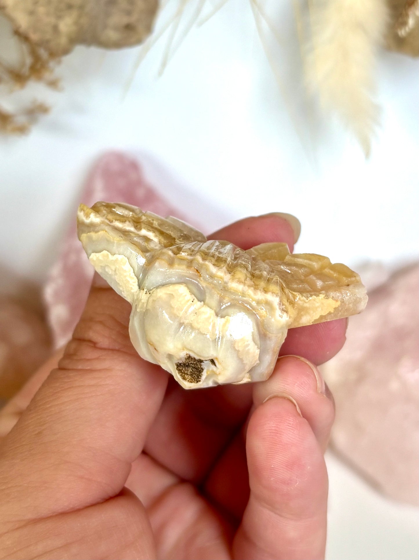 Golden Lace Agate Bee (3)