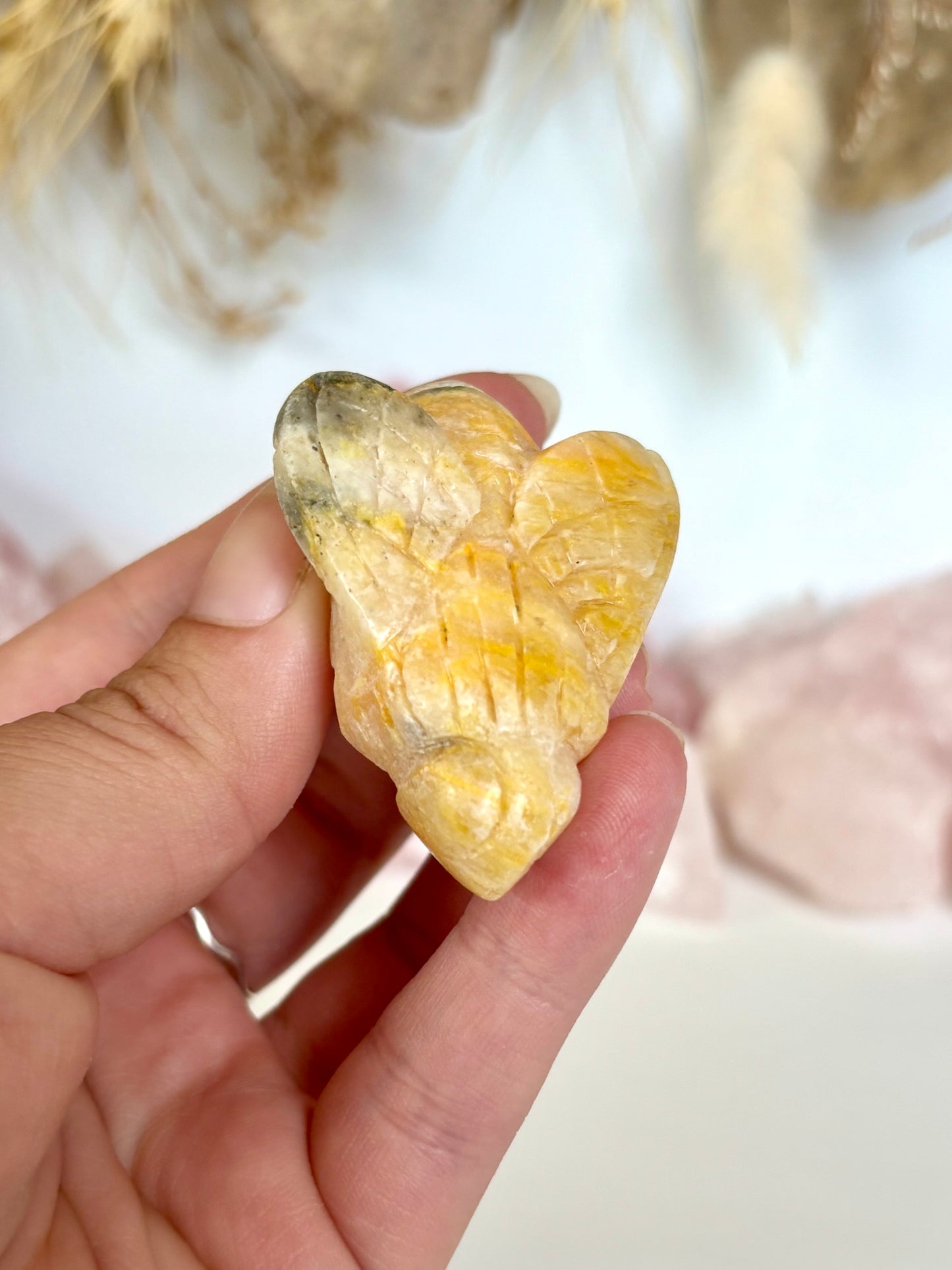 Bumblebee Jasper Bee (3)