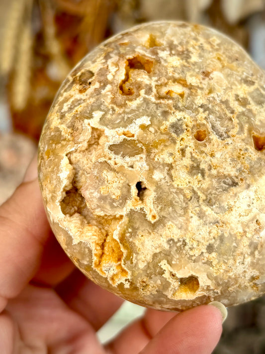 Golden Crazy Lace Agate - Indonesia