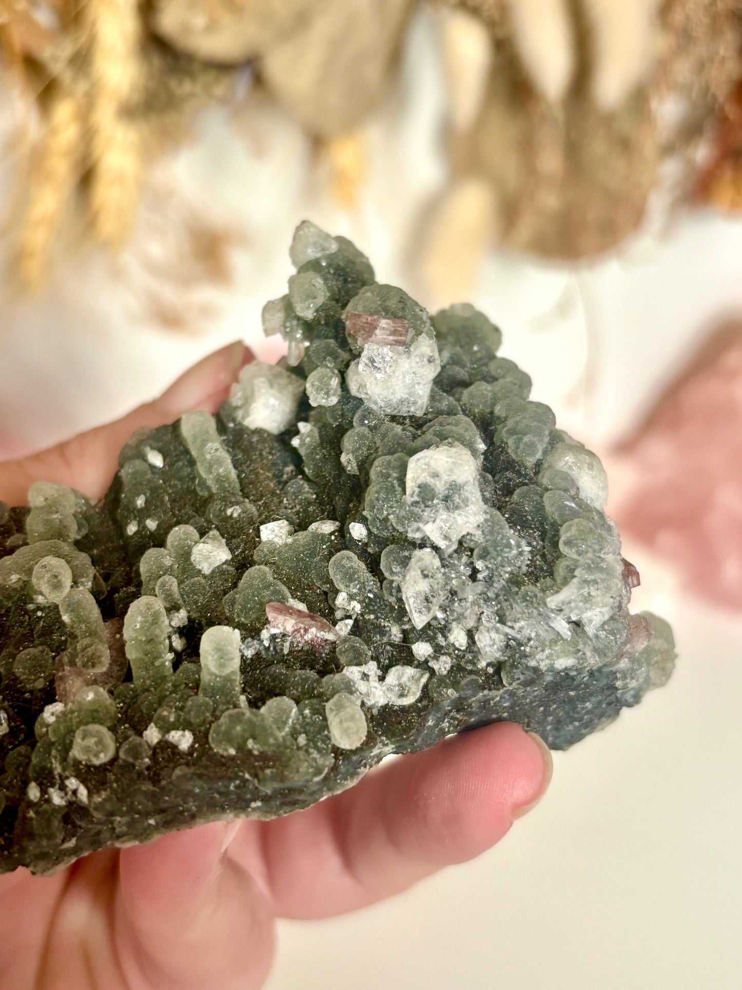 Black Chalcedony with Apophyllite
