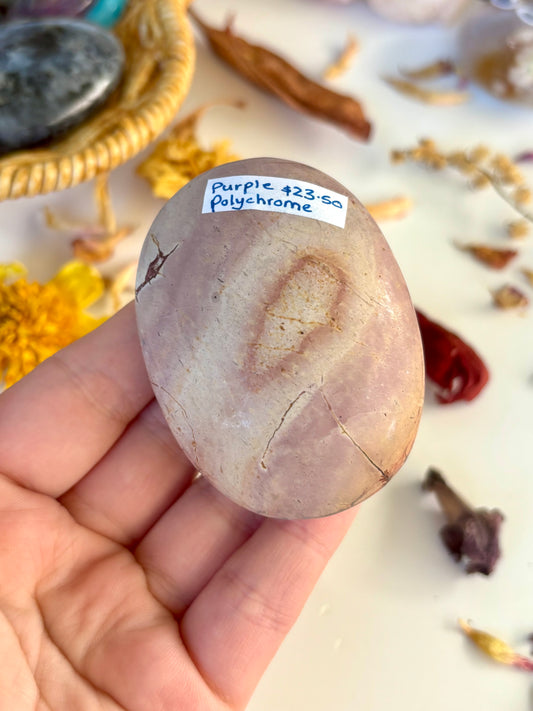 Purple Polychrome Palm