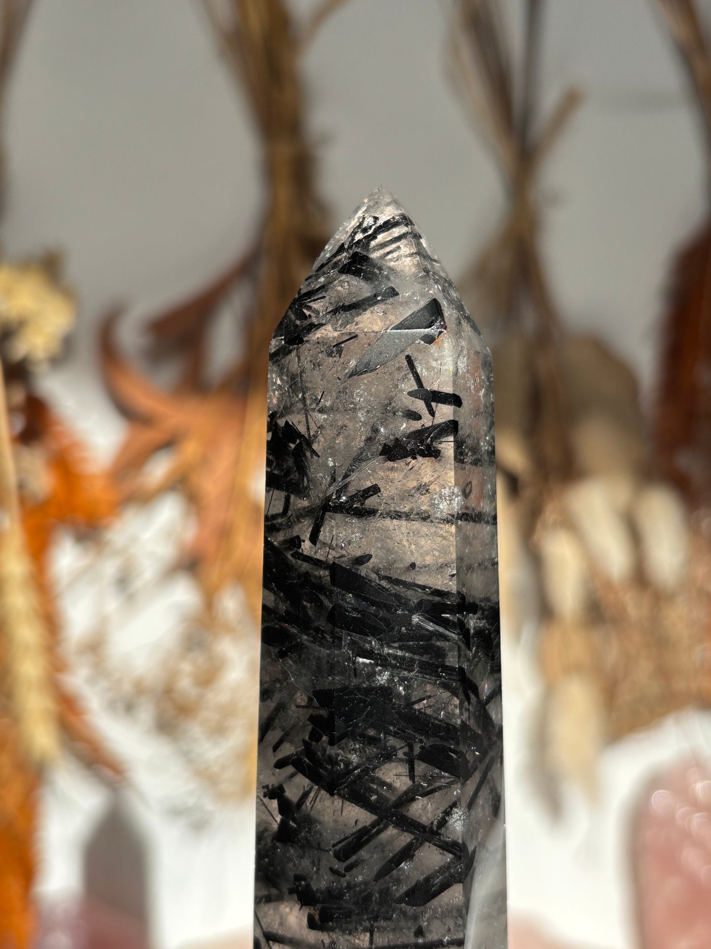 Black Tourmaline in Quartz Tower