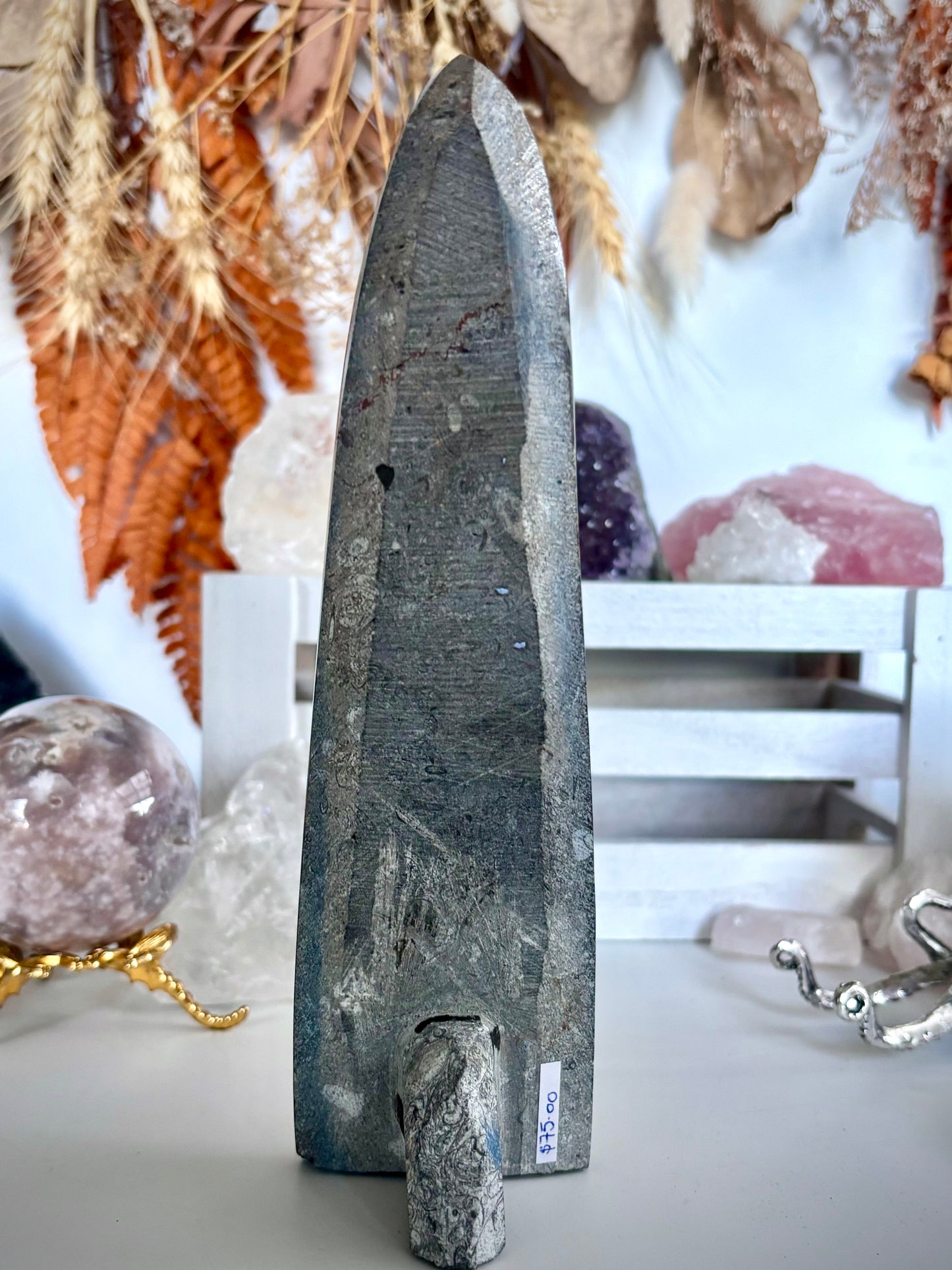 Standing Orthoceras Horn Fossil