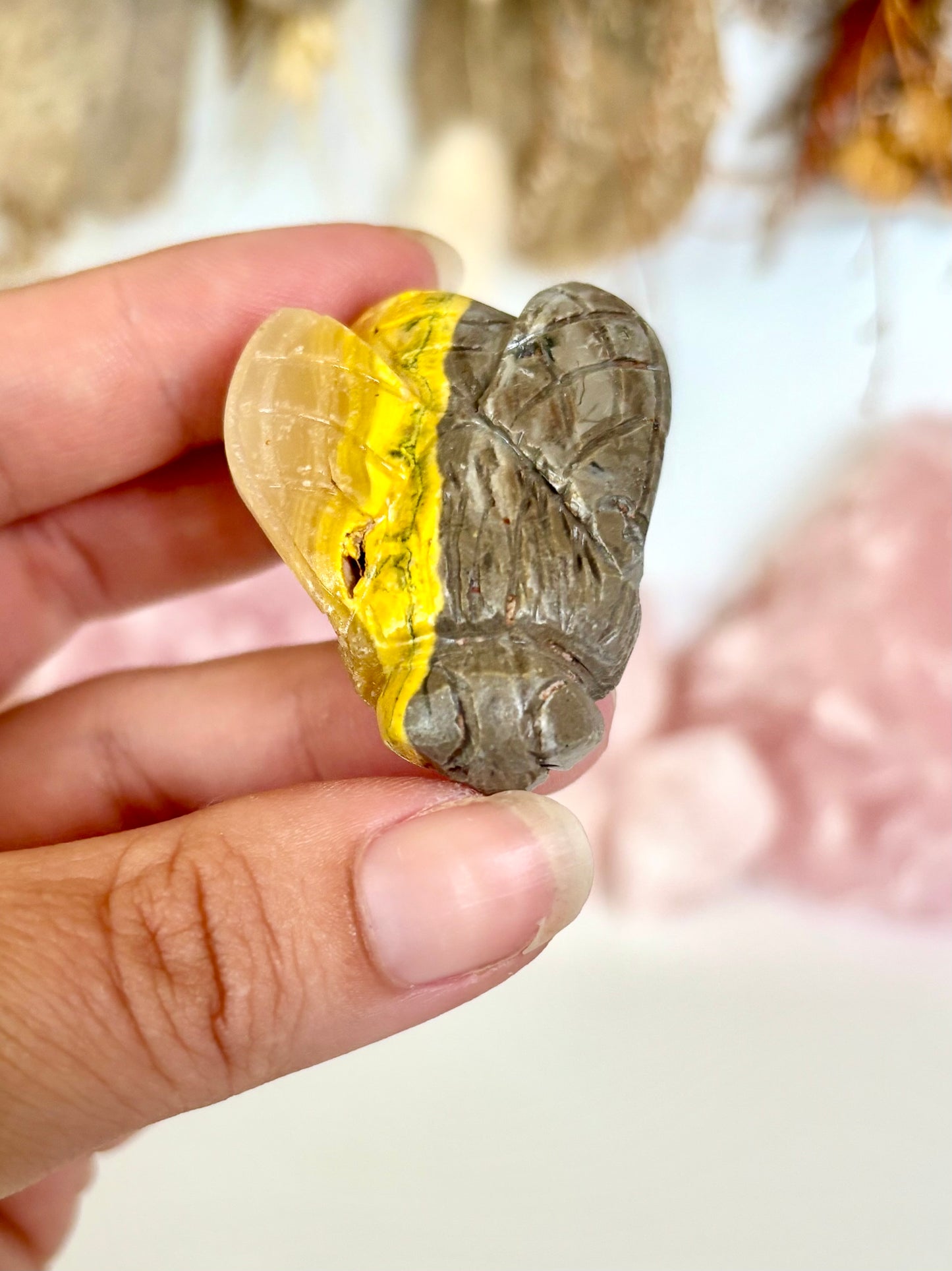 Bumblebee Jasper Bee (5)