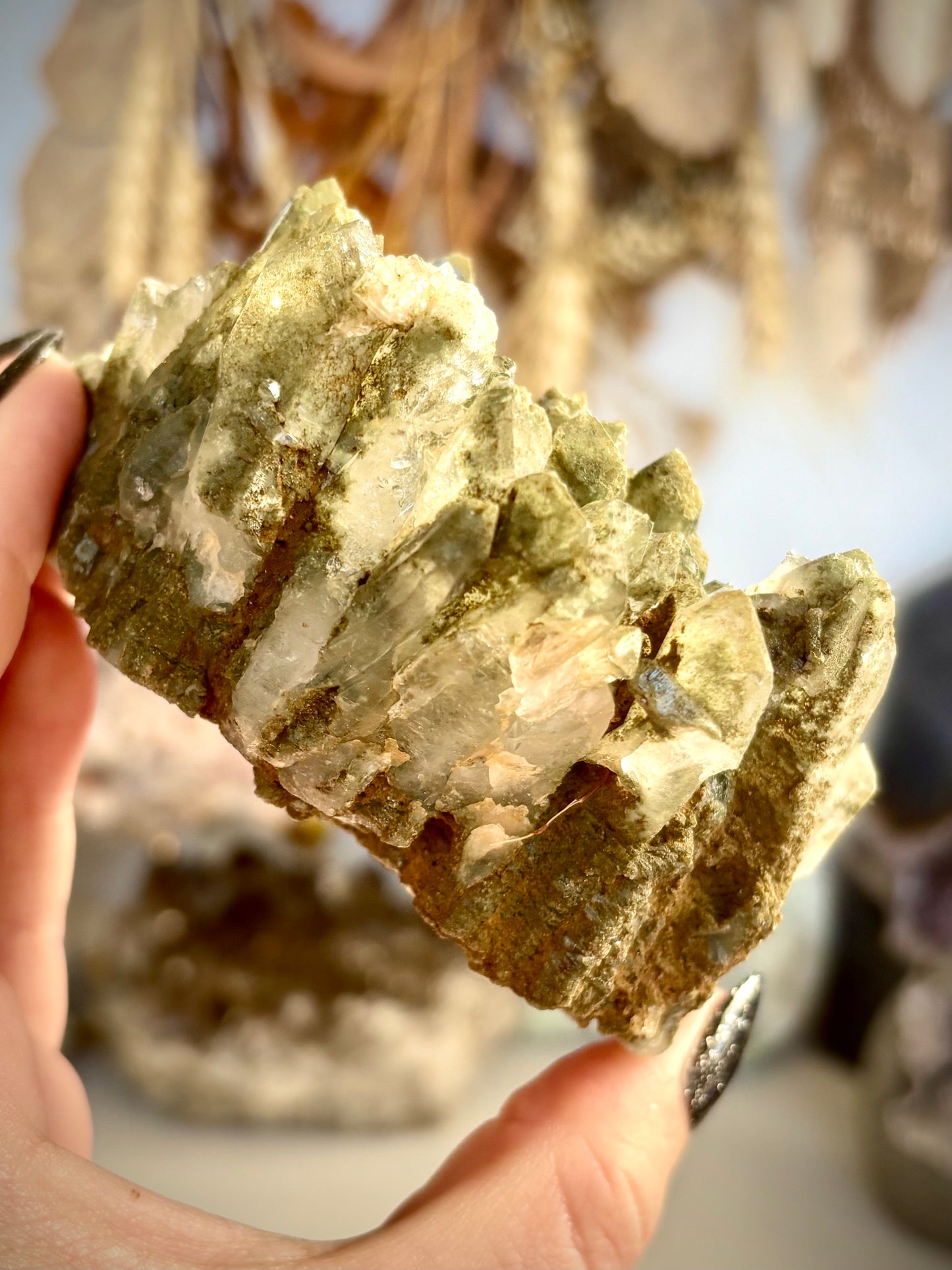 Chlorite Included Quartz