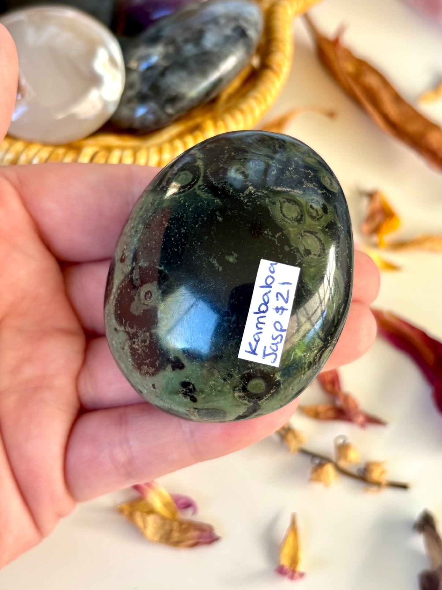 Kambaba Jasper Palm